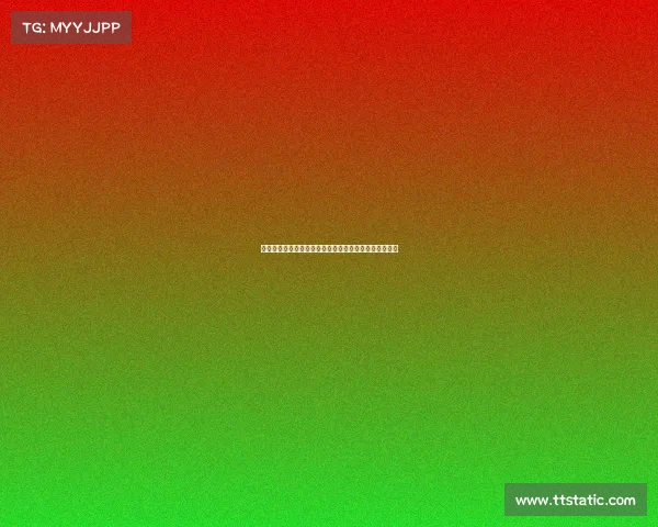 赛事申请全程高效指南详解申请流程关键技巧与成功策略